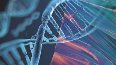 Large family-based study finds 80 percent of autism risk is from inherited genes