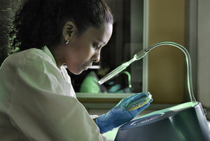 Autism and the gut microbiome: Further evidence strengthens link